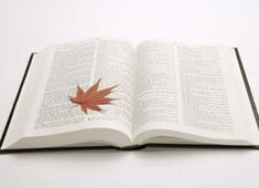 AC米兰遭遇连败，危险逼近