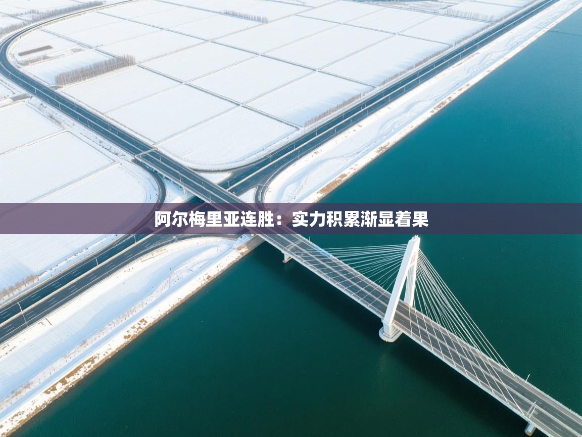 阿尔梅里亚连胜:实力积累渐显着果 第2张