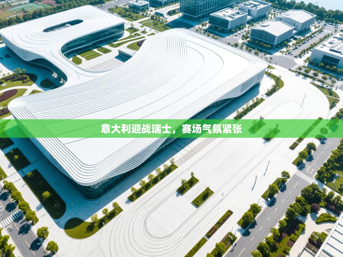 意大利迎战瑞士,赛场气氛紧张 第1张