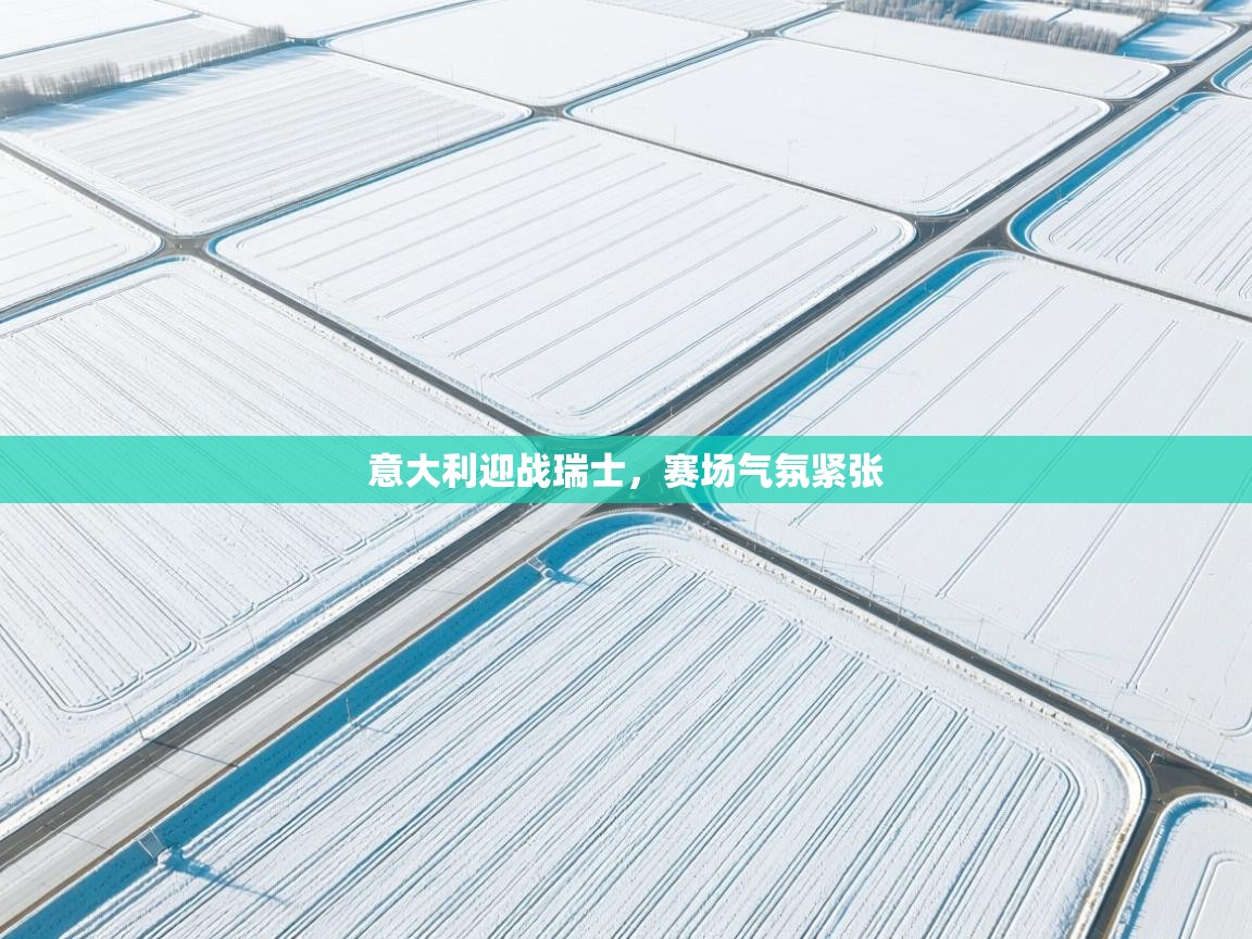 意大利迎战瑞士,赛场气氛紧张 第2张