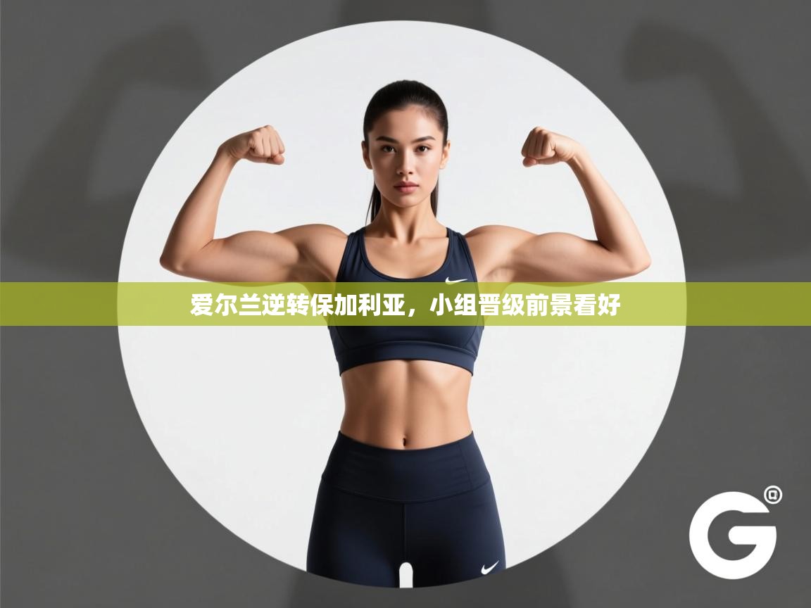 爱尔兰逆转保加利亚，小组晋级前景看好  第1张