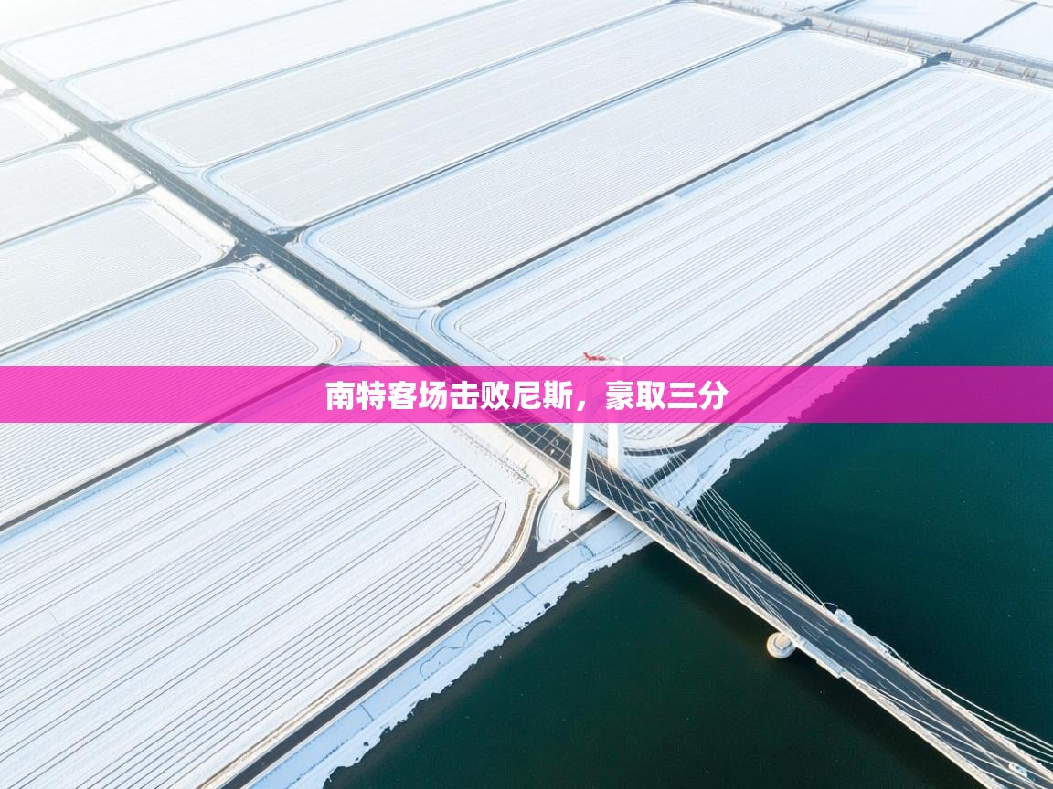 南特客场击败尼斯，豪取三分